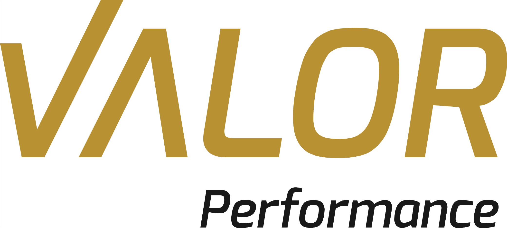 Valor-Performance-Logo-BLK.png